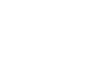 We are Todini