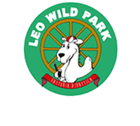 Wild Park